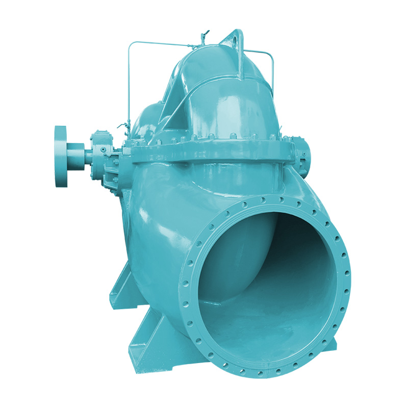 Насос двойного всасывания SLOWN